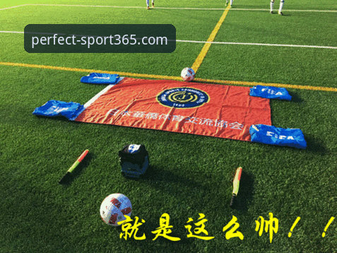 完美体育赛场动态 完美体育赛场动态全面解析:新手入门指南与实战技巧深度分析
